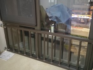 高層飄窗護欄 高層飄窗護欄