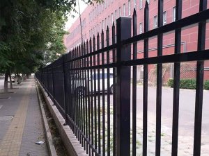 學(xué)校鋅鋼護(hù)欄 學(xué)校鋅鋼護(hù)欄