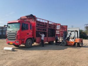 金用護欄2021年4月19日鋅鋼護窗欄桿發貨！